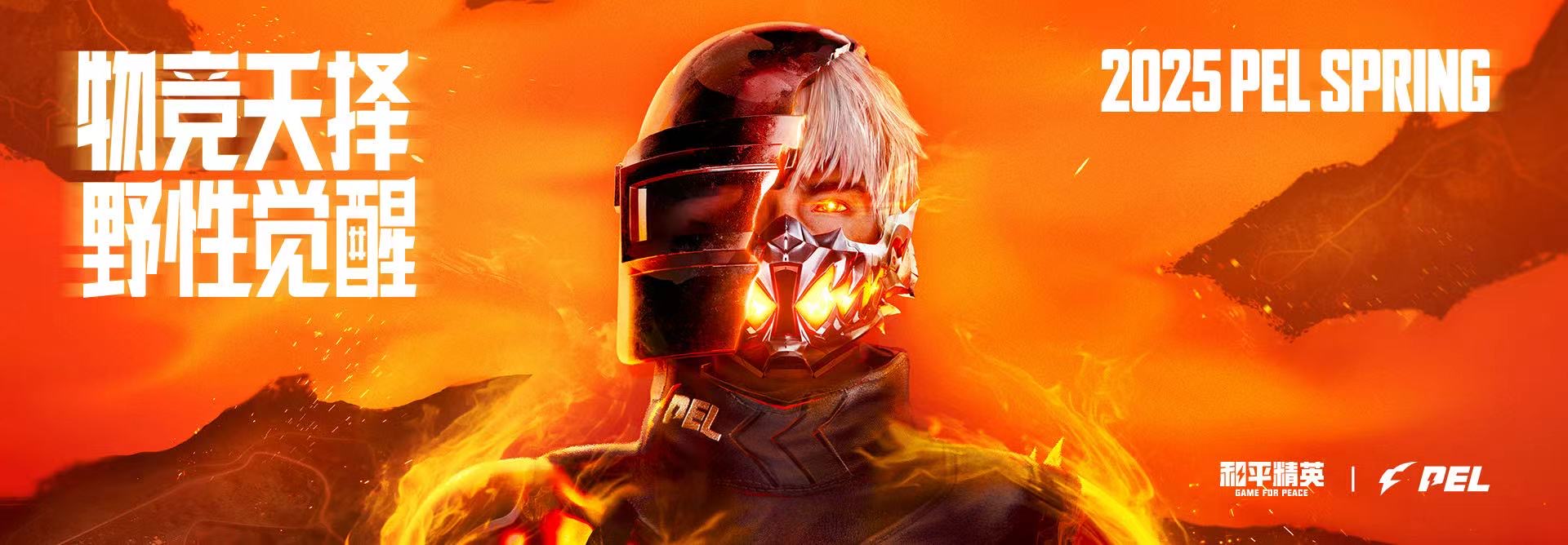 和平精英辅助软件详细评测:哪款值得信赖?